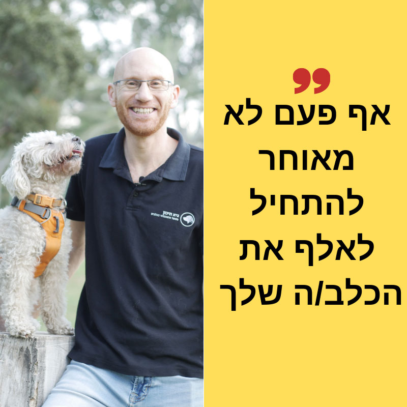 אף-פעם-לא-מאוחר