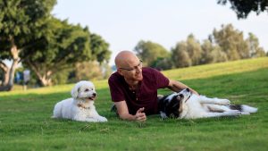 גבר על הדשא בפארק עם הכלבים שלו