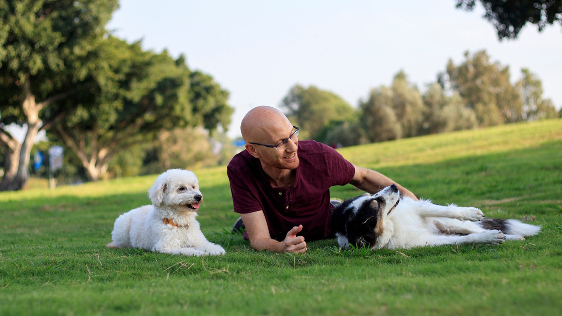 גבר על הדשא בפארק עם הכלבים שלו