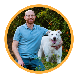 אילוף כלבים אילוף חיובי כלב תוקפן כלב אגרסיבי כלב ריאקטיבי