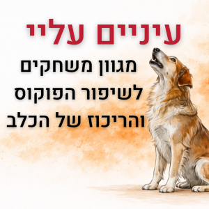 עיניים עליי