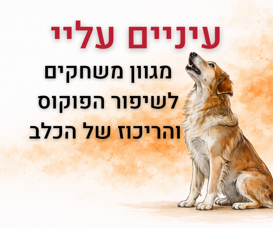 עיניים עליי