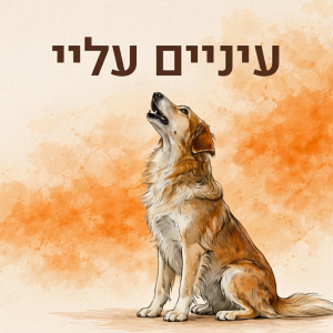 עיניים עליי - להתרכז בך מול גירויים והסחות