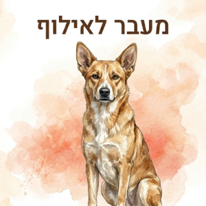 מעבר לאילוף - הרצאה על הקשר בין בעיות התנהגותיות לבעיות בריאותיות.