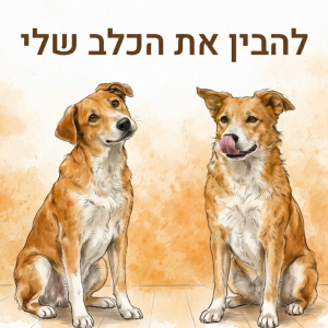 להבין את הכלב שלי - לדבר כלבית כמו עברית