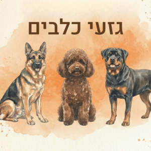 הרצאת מבוא לגזעי כלבים - כל מה שרצית לדעת